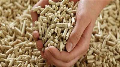 ارتفاع أسعار الأعلاف 600 جنيه وتوقعات بزيادة جديدة في الدواجن