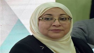 نائب محافظ القاهرة: شارع 