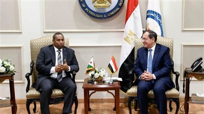 الملا وجيدي يبحثان فرص التعاون بين البلدين ونقل الخبرات المصرية إلى جيبوتي