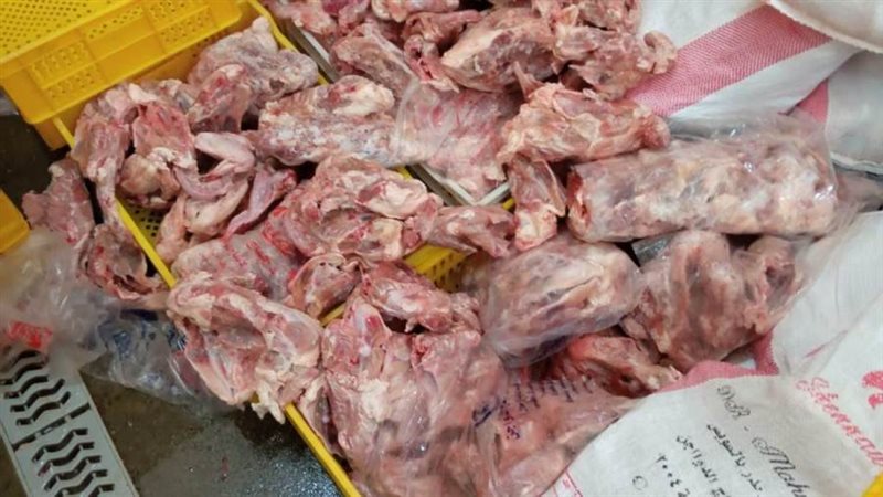 هياكل دواجن