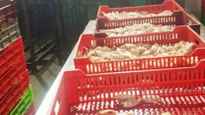 ضبط لحوم ودواجن مخالفة