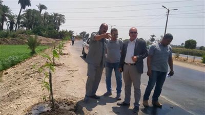 زراعة أشجار مثمرة على جانبي الطريق الدائري وقرية الجزائر بسمالوط