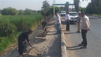 الوحدات المحلية بالمنيا تواصل جهودها في تنفيذ المبادرة الرئاسية لزراعة 100 مليون شجرة