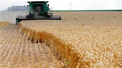 بالإنفوجراف والمعلومات.. آخر مستجدات مشروعات 