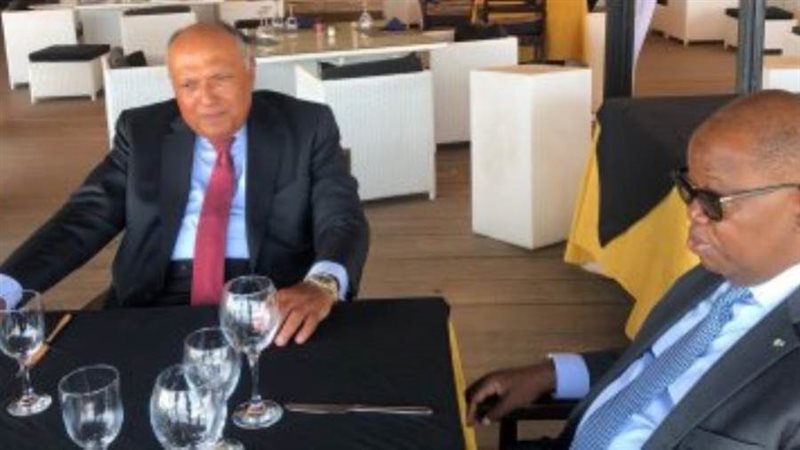 شكري ونظيره الجابوني