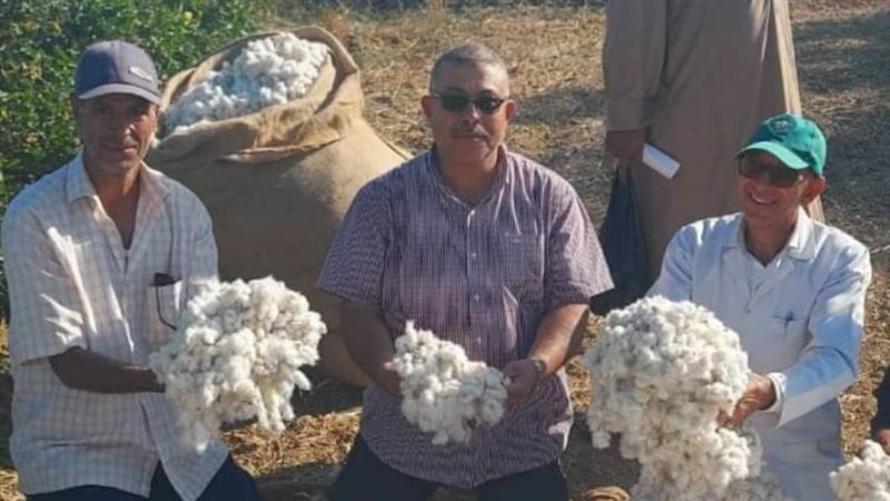 الدكتور مجد المرسي