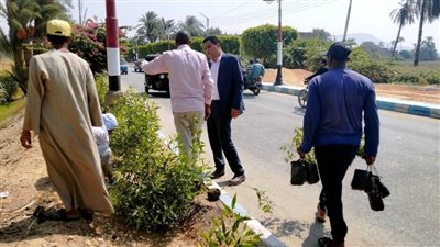 زراعة 4300 شجرة متنوعة بحي الكوثر خلال 60 يوما بسوهاج 