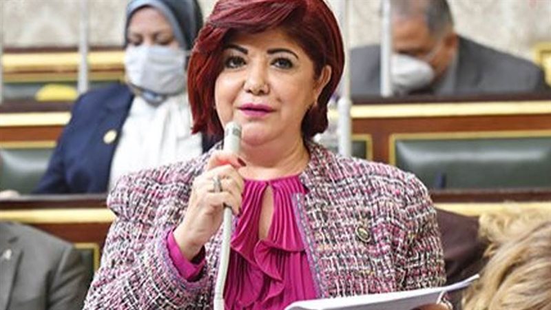 النائبة نورا علي