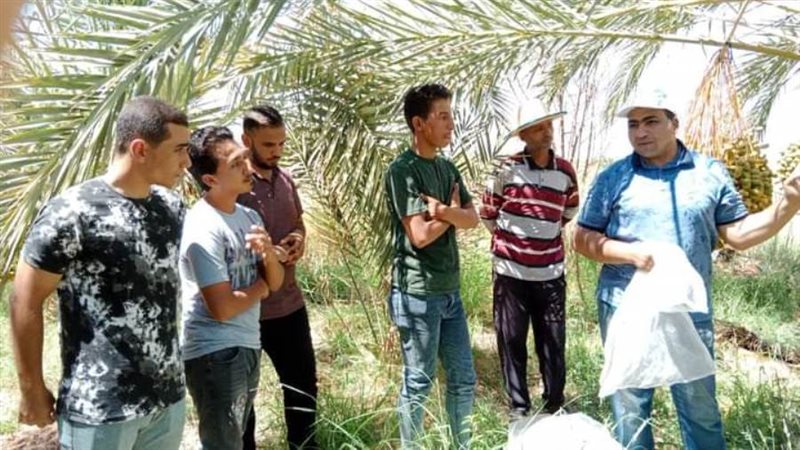 ندوات ارشاديه ميدانيه