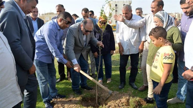 تشجير وزراعة شتلات