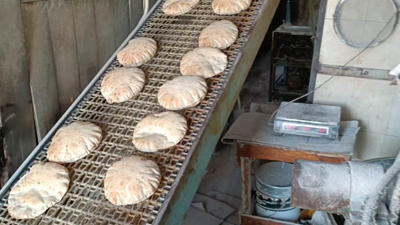 ضبط مبيدات زراعية