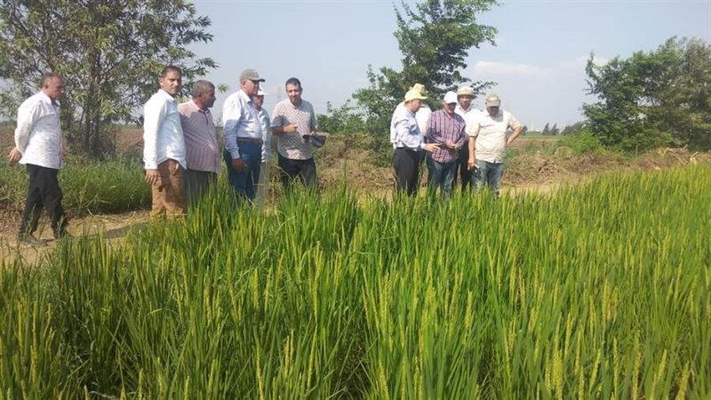 جانب من زيارة الوفد