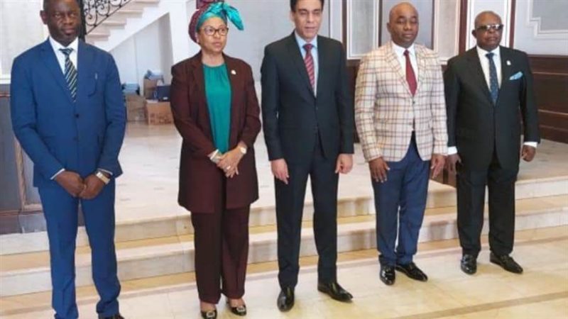 السفير المصري زرئيس