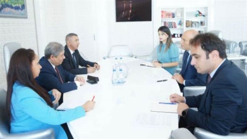 السفير المصري ووزير