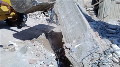 إزالة ٢٣ حالة تعدٍ على الأراضي الزراعية في حملة بالبحيرة