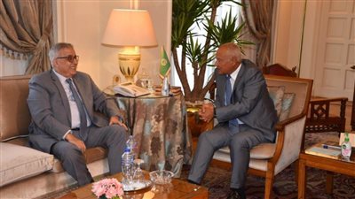 أبوالغيط يستقبل وزير خارجية لبنان