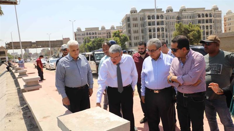 محافظ المنيا