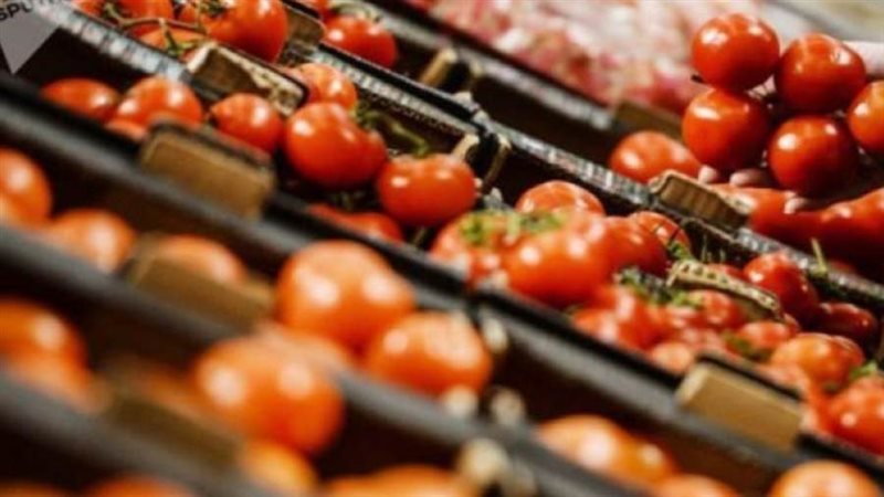 تصدير الطاطم - ارشيفية