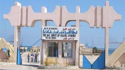 معهد علوم البحار ينظم دورة تدريبية عن القوانين البحرية والاتفاقيات الدولية