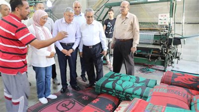 محافظ المنيا يتابع العمل بمشروع المشاتل ومجمع المشروعات الصغيرة ورفع كفاءة شبكة الكهرباء بالمنطقة الصناعية.. (صور)