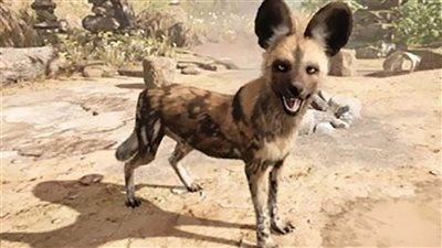 سلعوة تهاجم المواطنين وتعقر 8 أشخاص بمركز ديروط