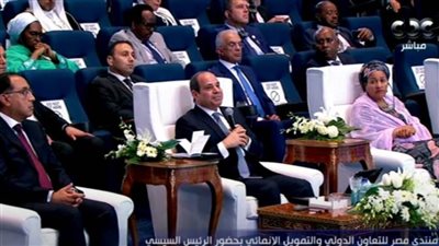 الرئيس السيسي: مصر من أوائل الدول التي وضعت استراتيجية متكاملة للتنمية المستدامة