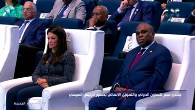 رئيس البنك الإفريقي للتصدير: قارتنا على مفترق طرق .. ومناخنا يتغير للأسوأ