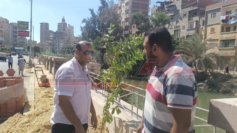 زراعة الأشجار