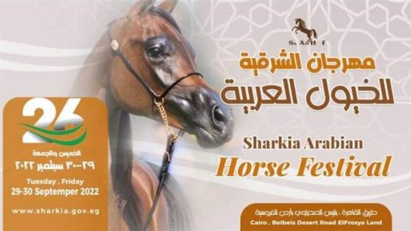 مهرجان الشرقية للخيول
