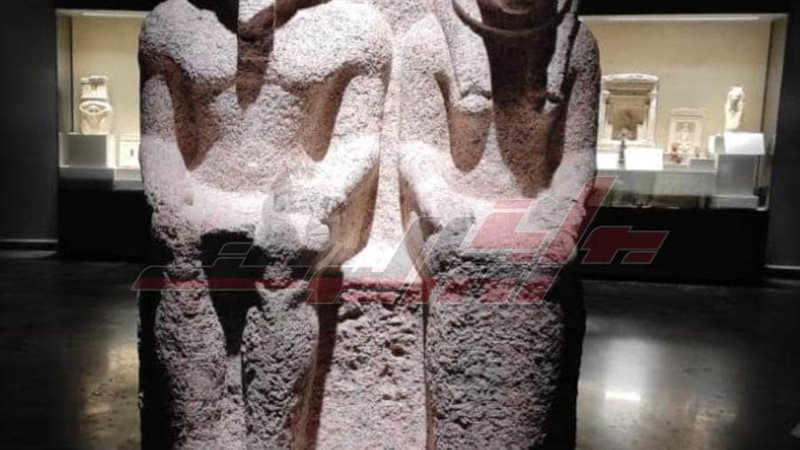 متحف كفر الشيخ