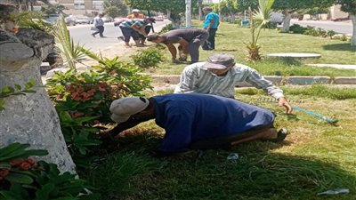 نشاط مُكثَّف لجهاز التطوير والتجميل بمدينة الإسماعيلية 