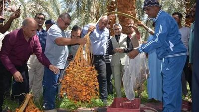 محافظ الوادي الجديد يفتتح موسم حصاد التمور
