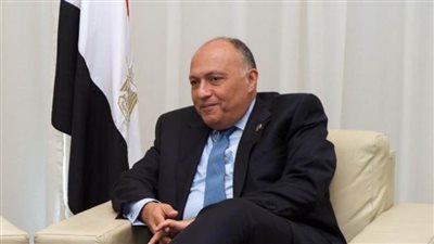 شكري ووزيرة البيئة الجنوب إفريقية يبحثان التحضيرات الجارية لمؤتمر المناخ COP27