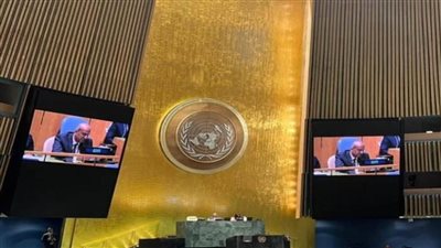 الجمعية العامة للأمم المتحدة تعتمد قرارا بإنشاء مكتب للشباب بتيسير مشترك من مصر وجيانا