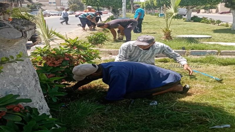 بوابة روز اليوسف