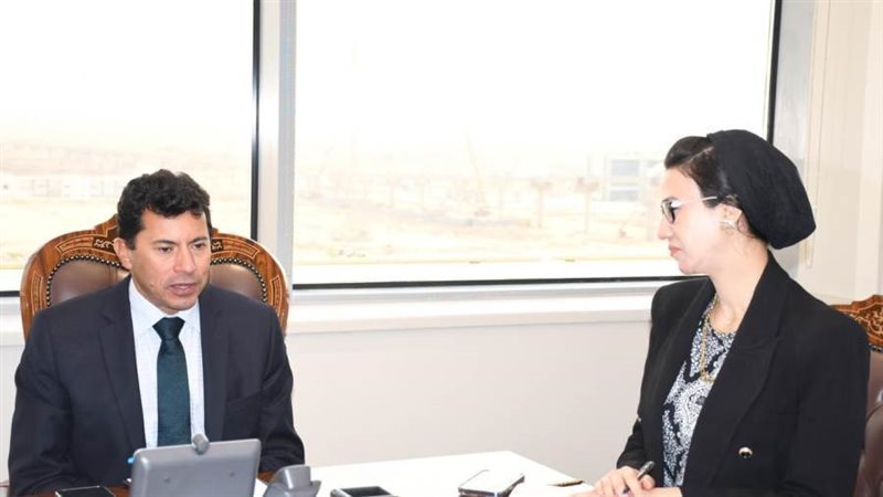 د. أشرف صبحى