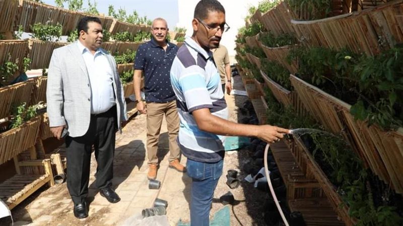 مبادرة زراعة اسطح