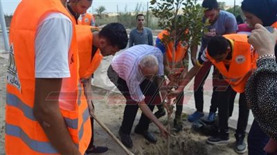 غرس الأشجار ضمن مبادرة 