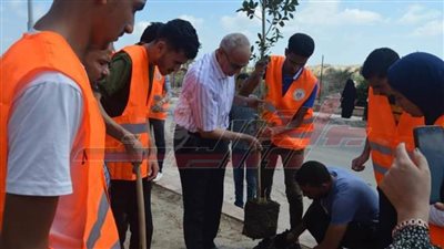 لمواجهة التغيرات المناخية.. شباب المعسكر التدريبي يغرسون الأشجار بكفر الشيخ