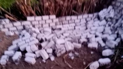 استمرار حملات الموجة ٢٠ لإزالة التعديات على الأراضي الزراعية بالبحيرة