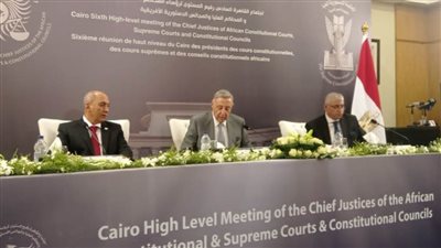 رئيس الدستورية يشكر الرئيس السيسي لدعمه اجتماع رؤساء المحاكم الإفريقية.. وينعي الملكة إليزابيث