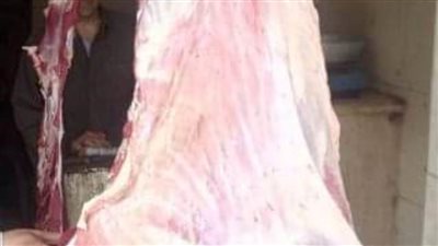 ضبط 238 كيلو لحوم مخالفة خلال حملات تفتيشية بالشرقية 