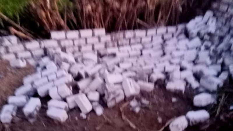 استمرار حملات الموجة