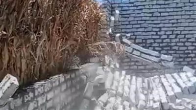 الموجة الـ20.. إزالة 20 حالة تعد بالبناء على الأراضي الزراعية وأملاك الدولة بالمنيا 