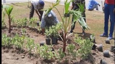 محافظ الإسكندرية: زراعة 5600 شجرة مثمرة وغير مثمرة بشوارع وميادين أحياء المحافظة خلال أسبوعين 