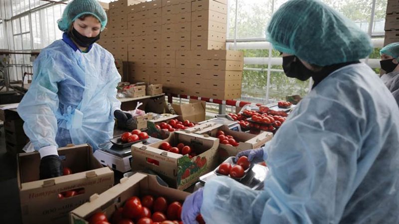 صادرات مصرية إلى