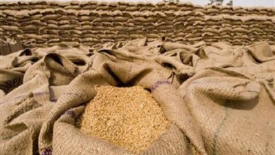 التموين: المخزون الاستراتيجي من القمح يصل إلى 6.6 شهر و90% الاكتفاء الذاتي من السكر
