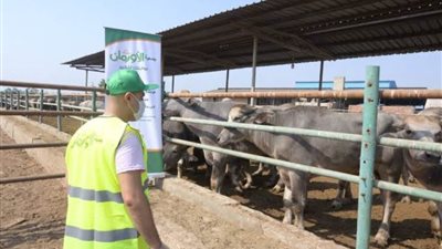 توزيع طنين من صكوك الأضاحي لتوزيعها على الأولى بالرعاية بأسوان