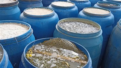 ضبط ١٠ أطنان مخلل داخل مصنع بدون ترخيص ومواد غذائية منتهية الصلاحية بالبحيرة