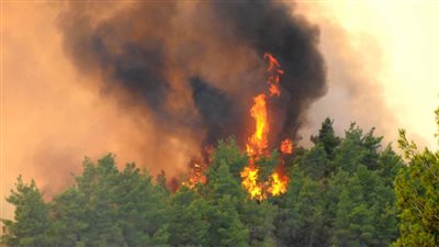 اندلاع حريق غابات في جنوب تركيا